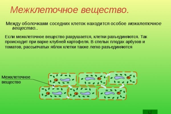 Кракен сайт как выглядит